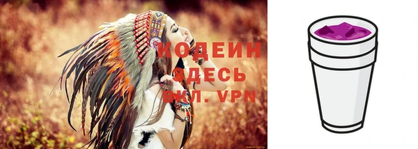 прущие грибы Абаза