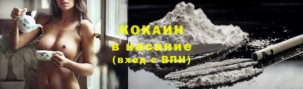 прущие грибы Абаза