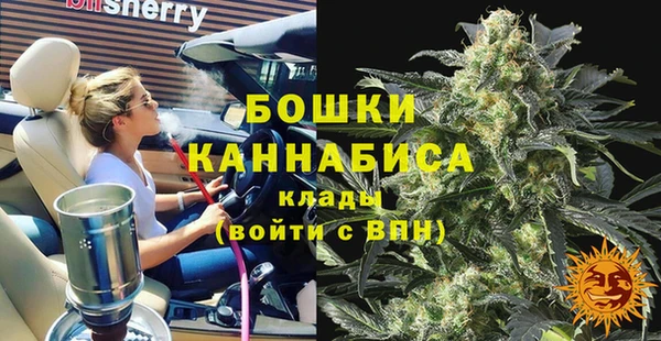прущие грибы Абаза