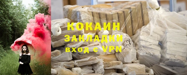 прущие грибы Абаза