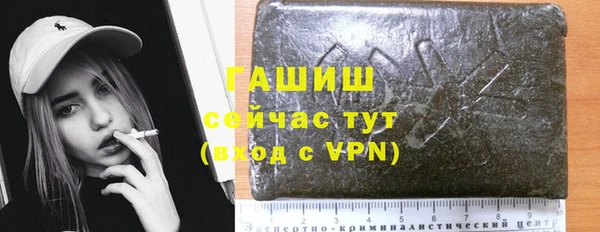 прущие грибы Абаза