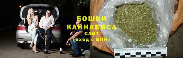 прущие грибы Абаза